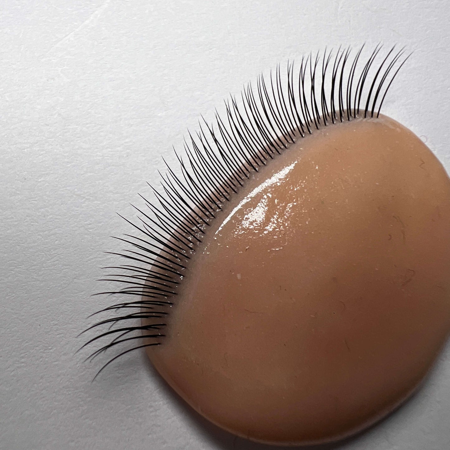 False eyelashes on a beige applicator against a light gray background