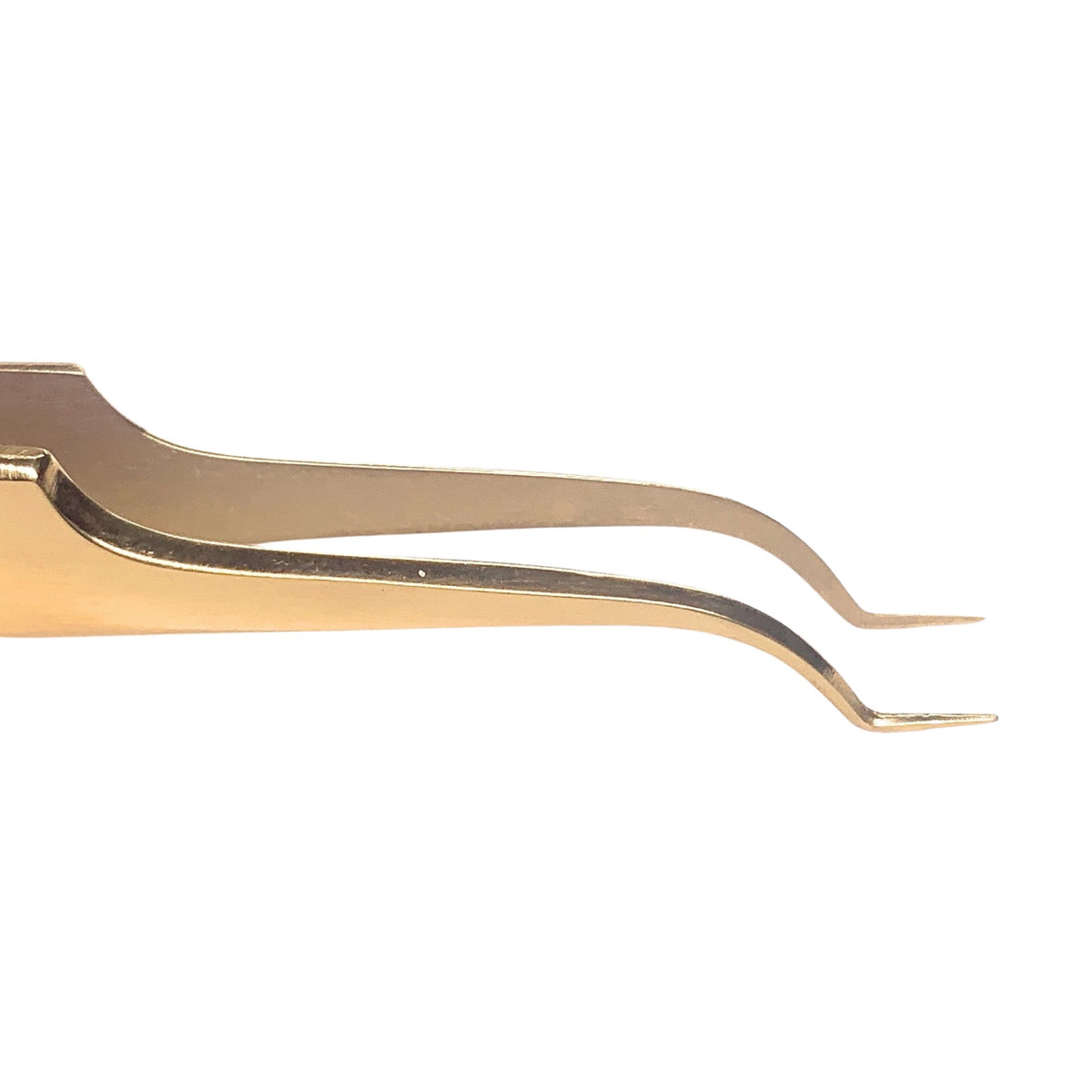 Spectral Edge inner corner isolation tweezer – angled view