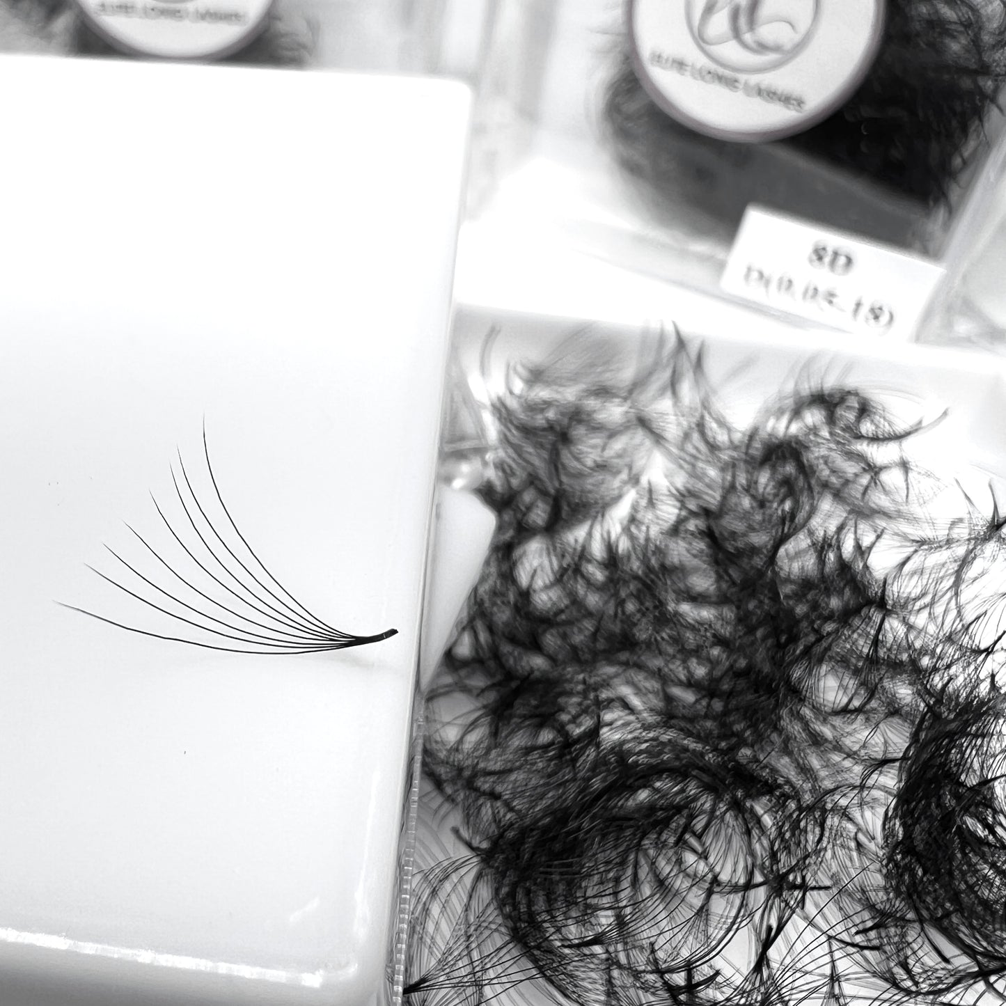 Promade Volume 500 Loose Fans/Box 0.05 C D Curl