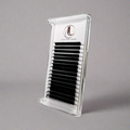 A tray of false eyelashes in a matte black color, displayed in a clear plastic case with a brand logo on the top.