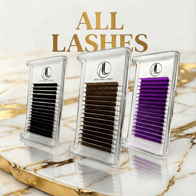 All Lashes