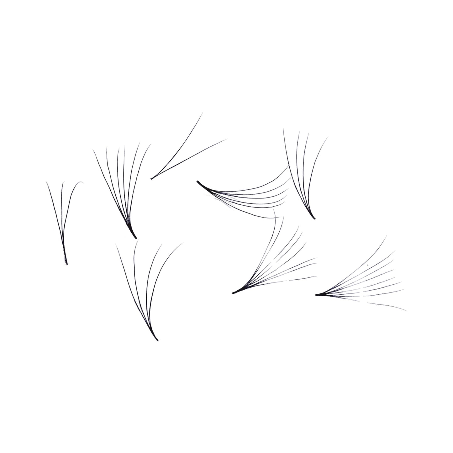 Promade Volume 1000 Loose Fans/Box D Curl 0.05 & 0.07