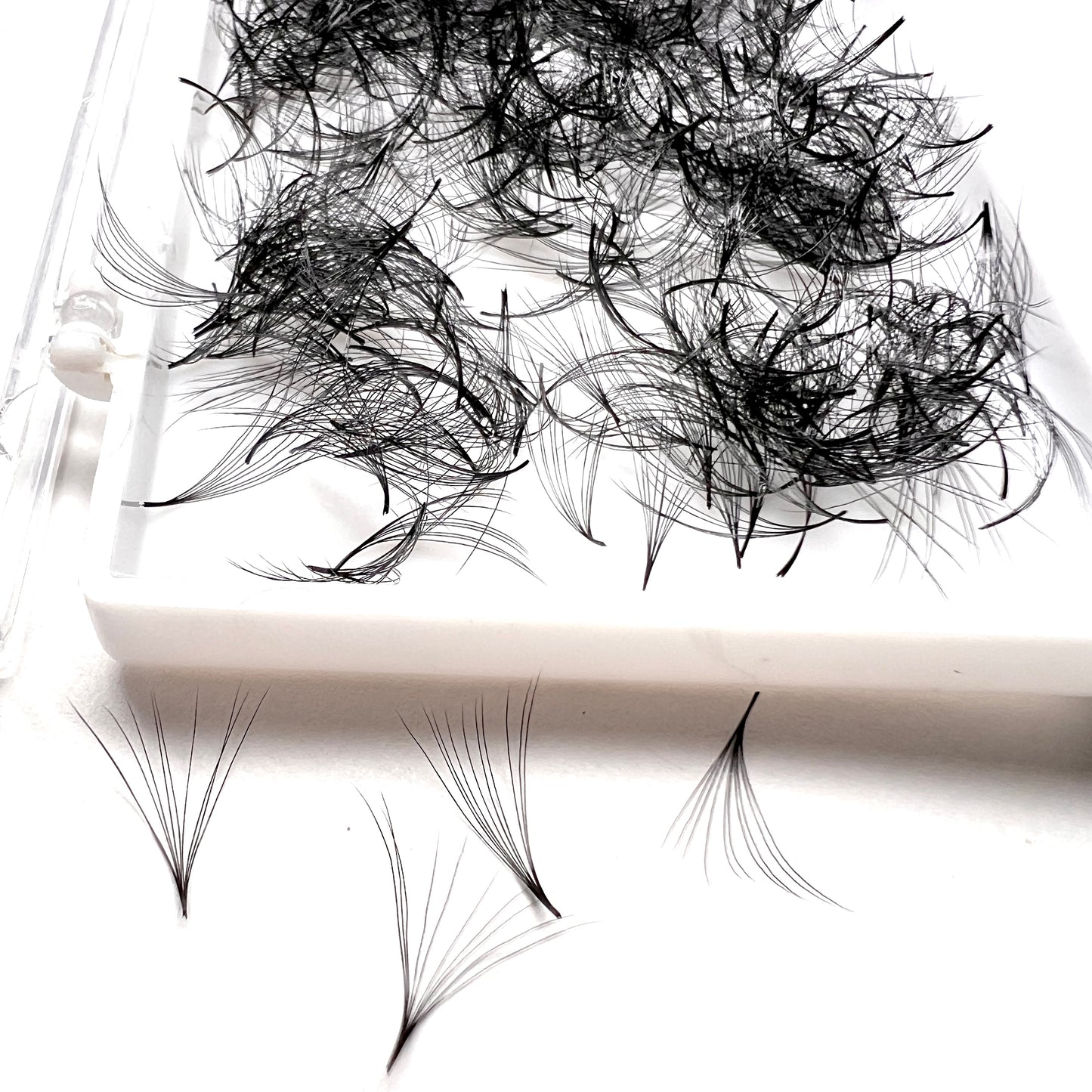 Promade Volume 1000 Loose Fans/Box D Curl 0.05 & 0.07