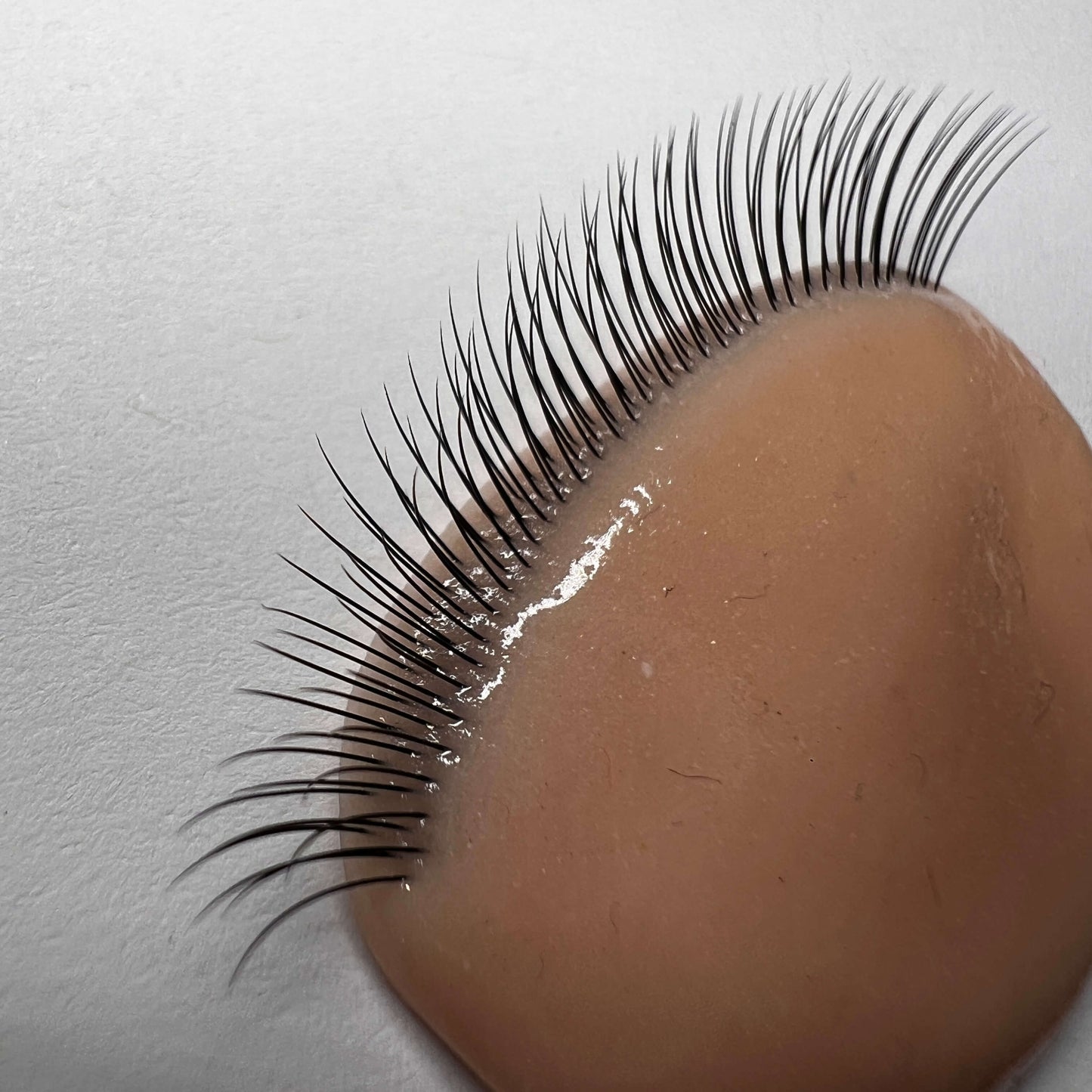 False eyelashes at an angle on a brown silicone surface with a light gray background