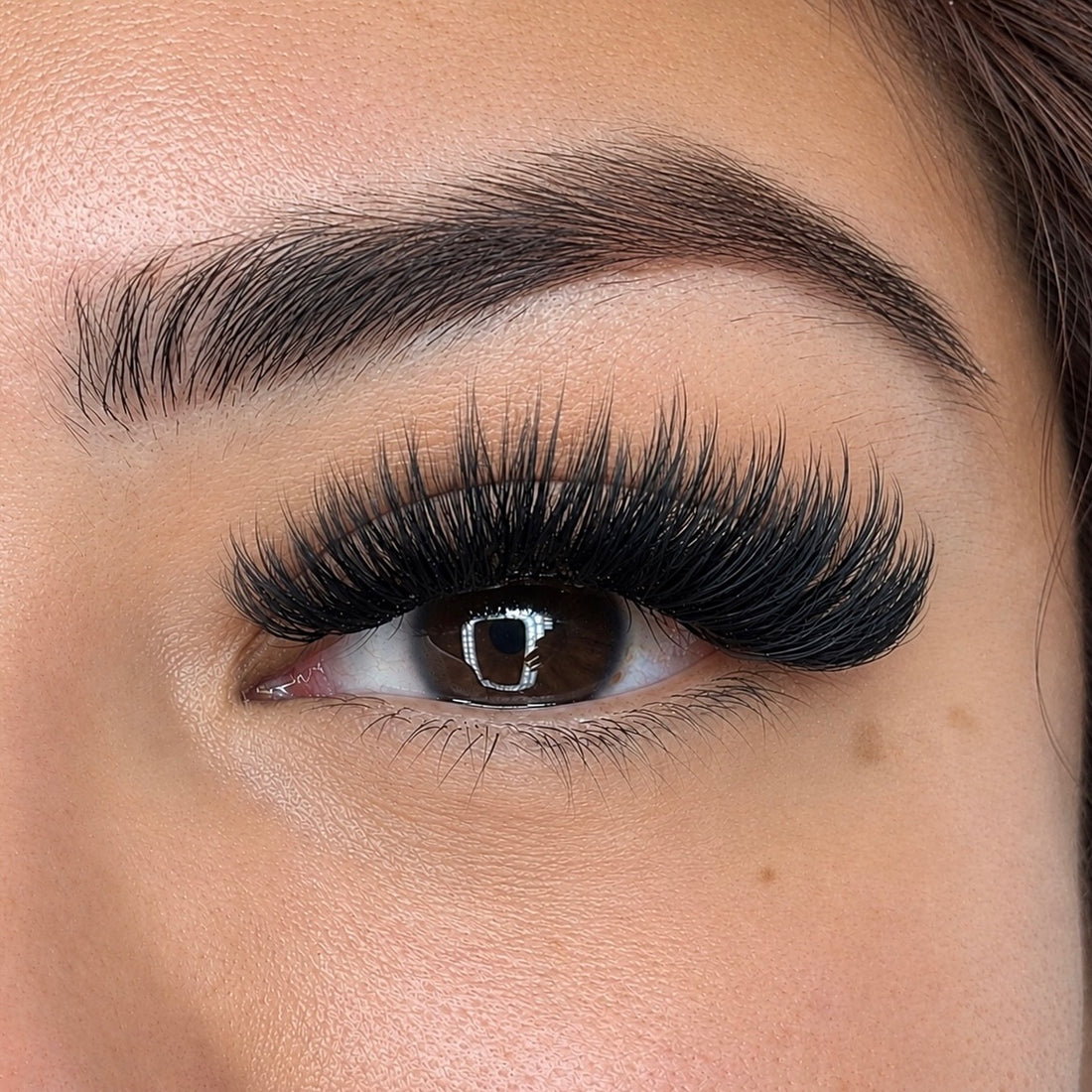 Close-up client eye wearing Elite Long Lashes black lash extensions