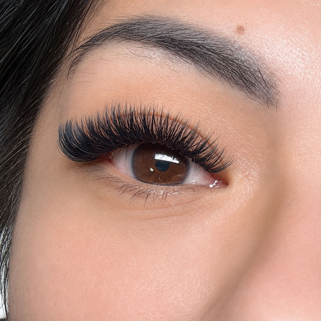 Close-up client eye wearing Elite Long Lashes black lash extensions