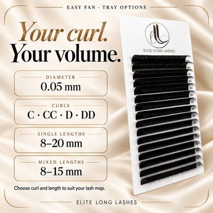 Easy Fan 0.05 mm lash tray options: C, CC, D and DD curls, single lengths 8–20 mm and mixed lengths 8–15 mm