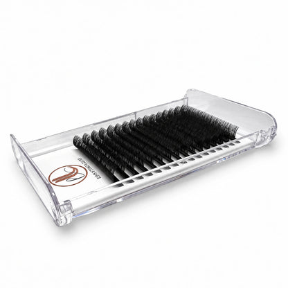 Elite Long Lashes Easy Fan 0.05 mm matte black lash extensions in a clear tray, photographed at an angle on a soft white background.