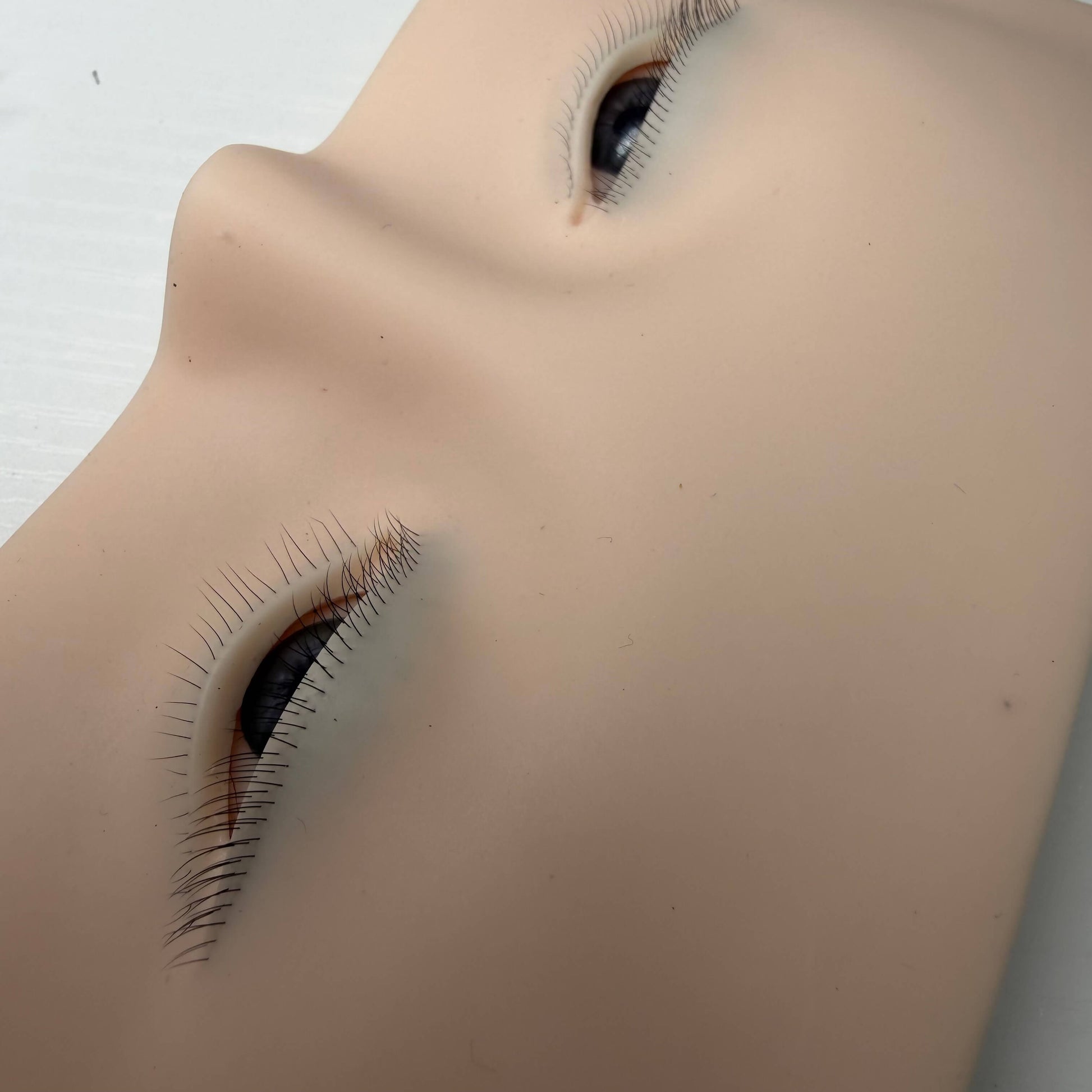 Close-up of realistic 3D eyes on a silicone eyelash extension practice face