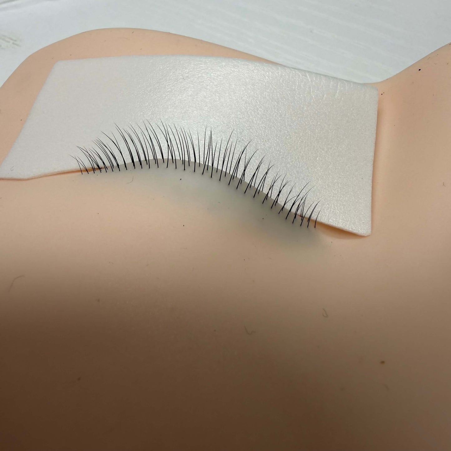 Reusable silicone lash training model with lifelike lashes for isolation and placement practice